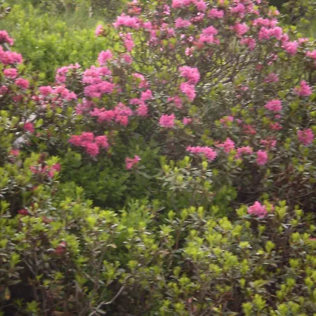 Alpenland - Lägenhet Auffach