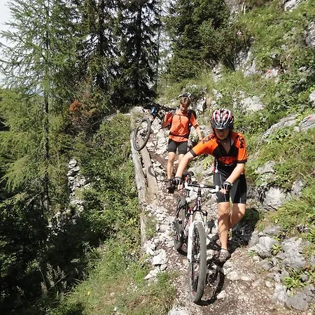 Lägenhet Alpenland - Auffach