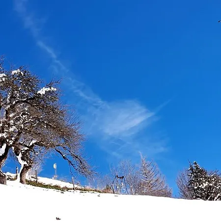 Lägenhet Alpenland - *