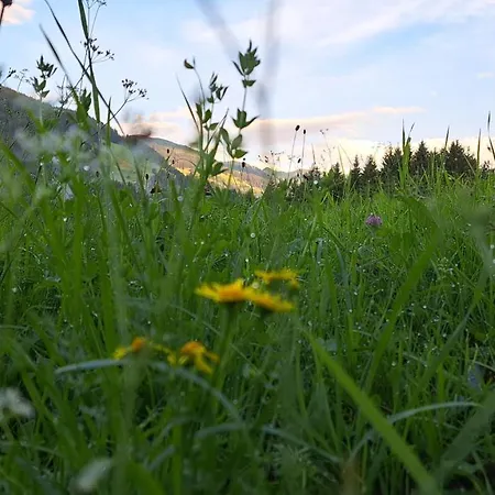 Alpenland - Lägenhet