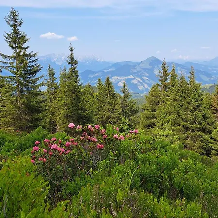 Alpenland - דירה אאופאך