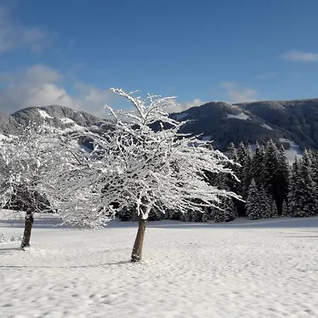 Alpenland - Schi Und Bike - *