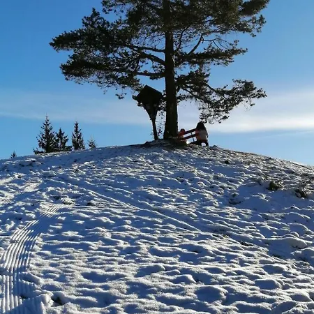 Alpenland - Schi Und Bike -