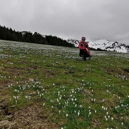Alpenland - Schi Und Bike - Auffach