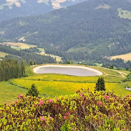 Alpenland - Schi Und Bike - Apartment