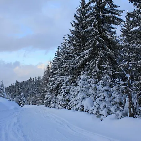 Alpenland - Schi Und Bike - Apartment Auffach