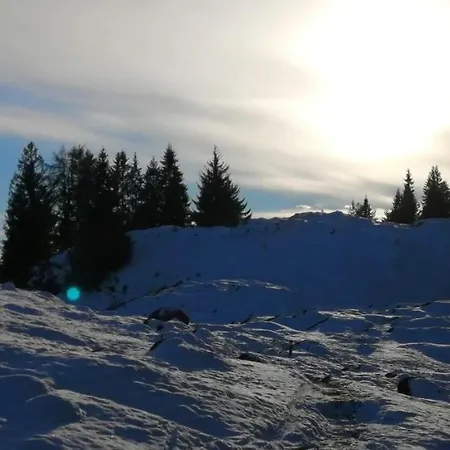 Appartements Alpenland - Ferienwohnungen Apartment Auffach