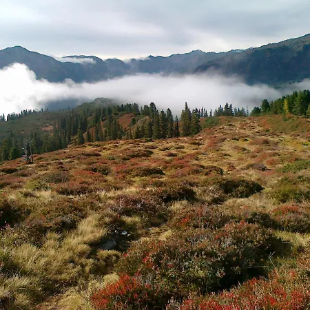 Appartements Alpenland - Ferienwohnungen Apartment