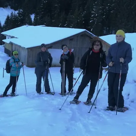 Apartment Appartements Alpenland - Ferienwohnungen *