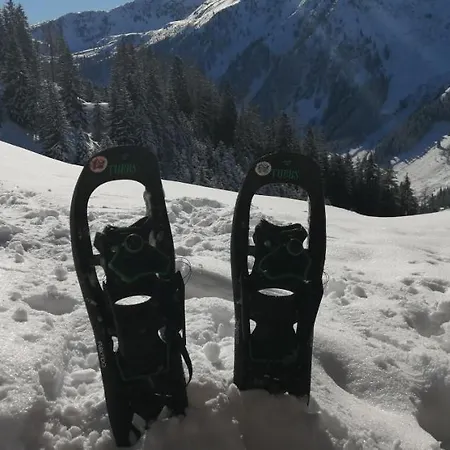 Appartements Alpenland - Ferienwohnungen Apartment Auffach